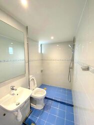 Dunearn Road (D11), Condominium #473816041